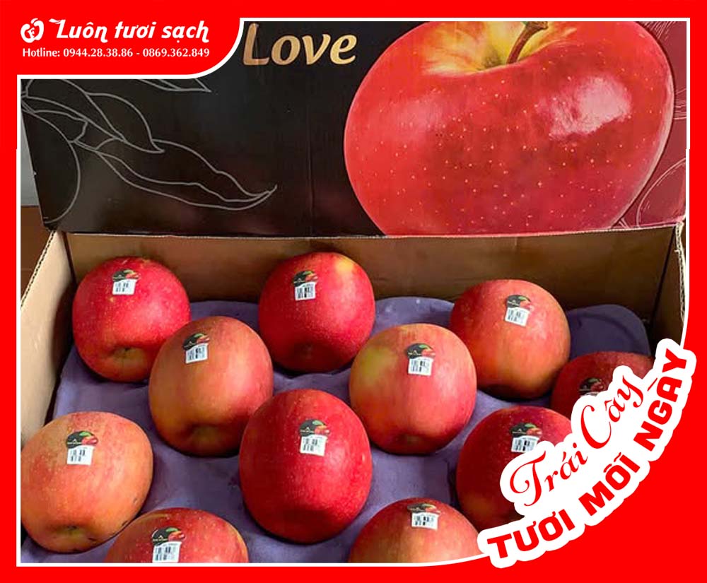 Nguyên Thùng táo Ever Crisp Mỹ sz 80-88